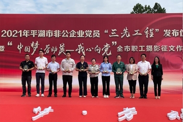 浙江鴻禧能源股份有限公司210電池技術攻關項目組榮獲平湖市非公企業(yè)“黨員先鋒團隊”榮譽稱號
